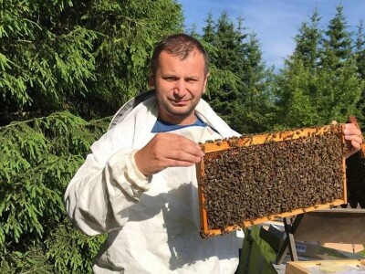 Pčelar Dino Haračić