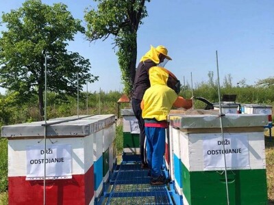 Pčelar Dino Haračić