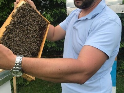 Pčelar Dino Haračić