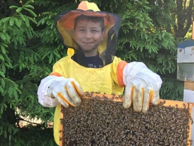 Pčelar Dino Haračić