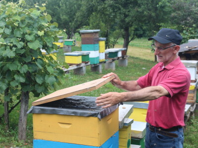 Pčelar Dragoljub Arbutina