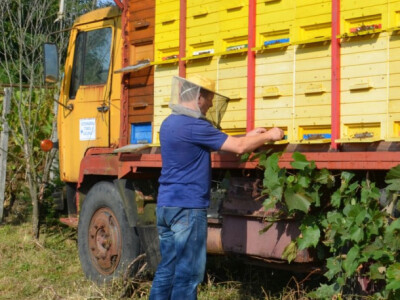Dražen s košnicama Dražen s košnicama