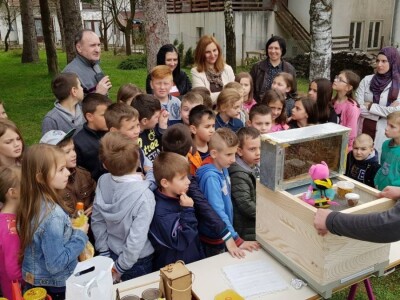 Pčelar Haris Redžić