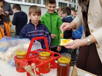Pčelar Haris Redžić