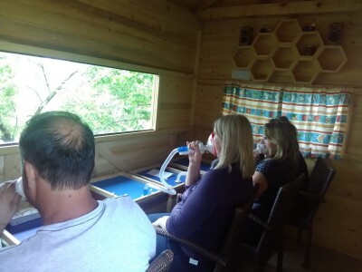 Pčelar Haris Redžić