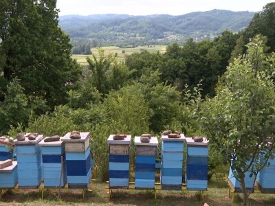 Pčelar Janković Pčelar Janković