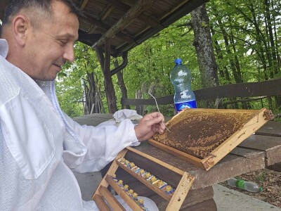 Pčelar, Mihajlo Gavrić