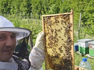 Pčelar, Mihajlo Gavrić