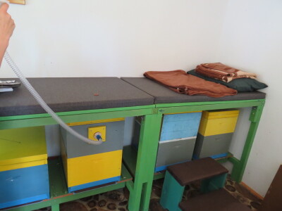 Pčelar Miloš Odžić