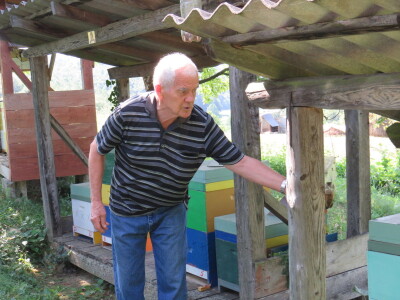 Pčelar Miloš Odžić