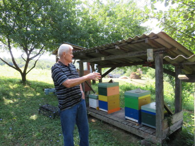 Pčelar Miloš Odžić