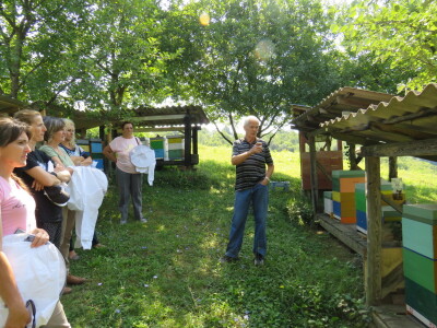 Pčelar Miloš Odžić