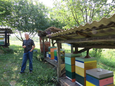 Pčelar Miloš Odžić