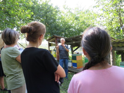 Pčelar Miloš Odžić