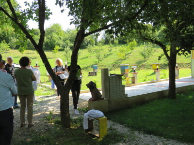 Pčelar Miloš Odžić