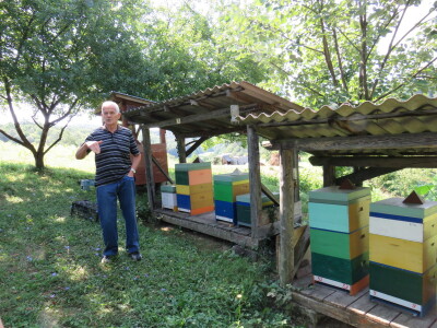 Pčelar Miloš Odžić