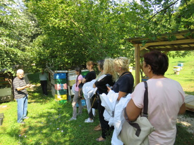 Pčelar Miloš Odžić