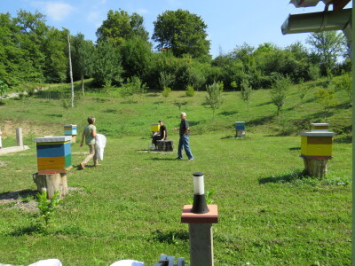 Pčelar Miloš Odžić