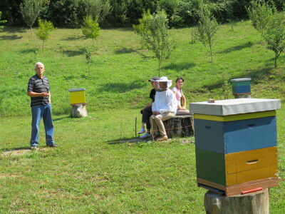 Pčelar Miloš Odžić