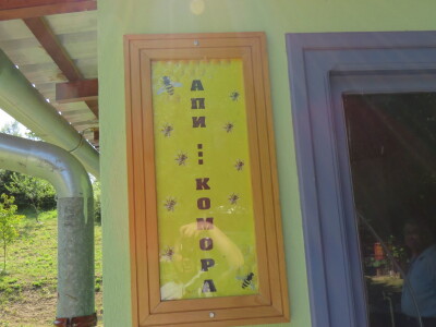 Pčelar Miloš Odžić