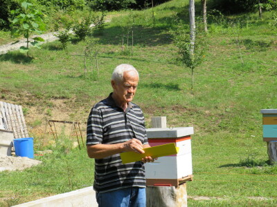 Pčelar Miloš Odžić