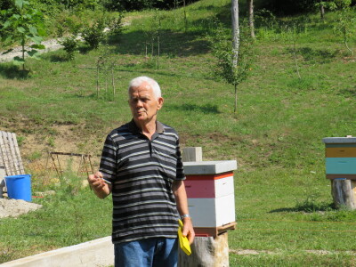 Pčelar Miloš Odžić