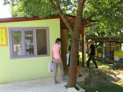 Pčelar Miloš Odžić