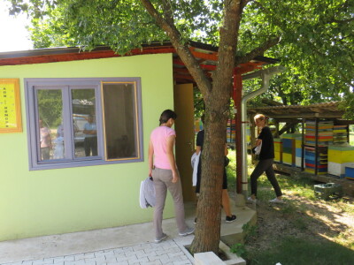 Pčelar Miloš Odžić