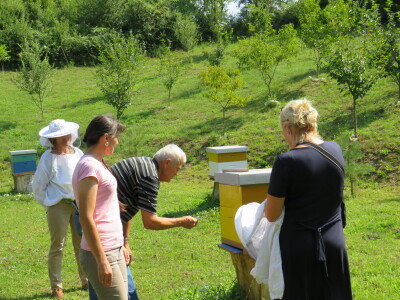 Pčelar Miloš Odžić