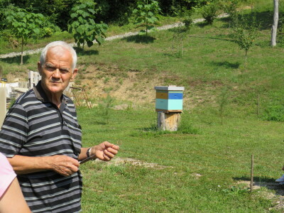 Pčelar Miloš Odžić