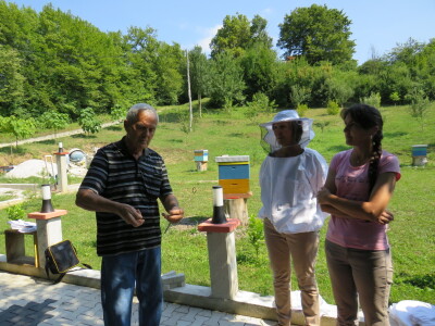 Pčelar Miloš Odžić