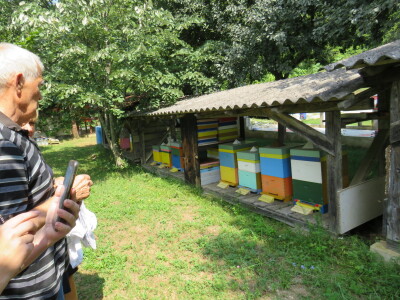 Pčelar Miloš Odžić