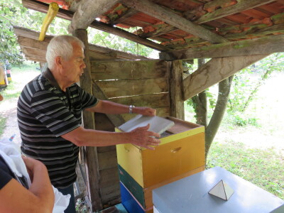 Pčelar Miloš Odžić