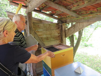 Pčelar Miloš Odžić