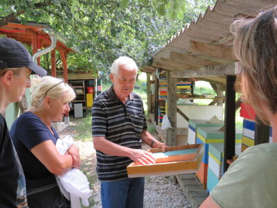 Pčelar Miloš Odžić