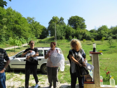 Pčelar Miloš Odžić