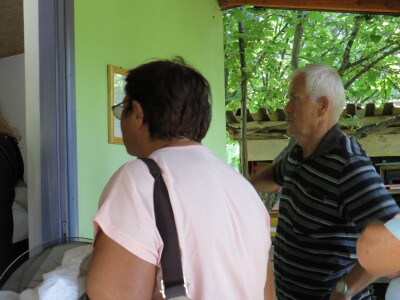 Pčelar Miloš Odžić