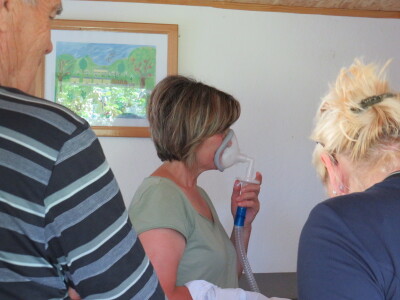 Pčelar Miloš Odžić