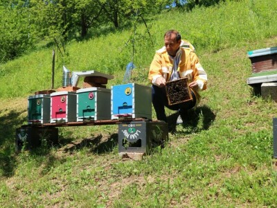 Pčelar Nijaz Đozić sugrađanima besplatno pomaže u tri apikomore