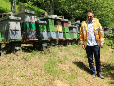 Pčelar Nijaz Đozić sugrađanima besplatno pomaže u tri apikomore