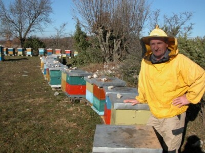 Nikola Čokolić, sin Petra Čokolića u pčelinjaku