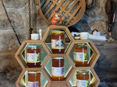 Pčelar Želimir Depoli i energetska neovisnost