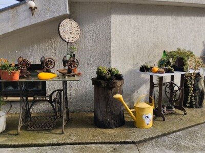 Pčelar Želimir Depoli i energetska neovisnost