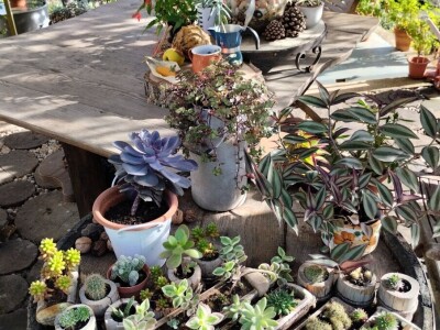 Pčelar Želimir Depoli i energetska neovisnost