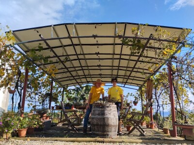 Pčelar Želimir Depoli i energetska neovisnost