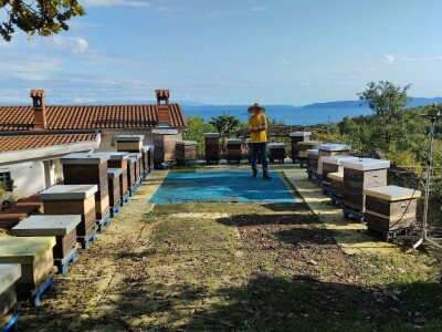 Pčelar Želimir Depoli i energetska neovisnost