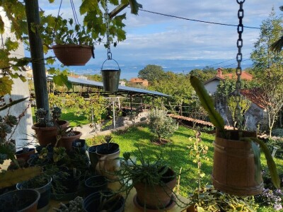 Pčelar Želimir Depoli i energetska neovisnost