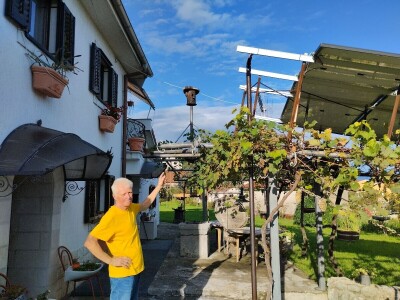 Pčelar Želimir Depoli i energetska neovisnost