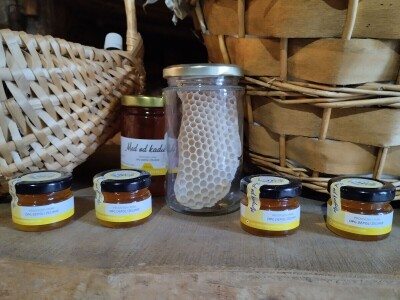 Pčelar Želimir Depoli i energetska neovisnost