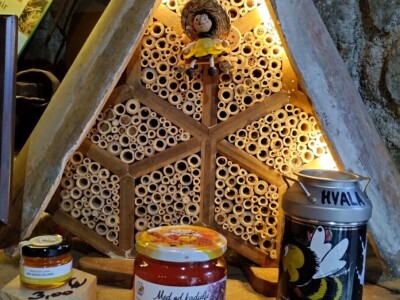 Pčelar Želimir Depoli i energetska neovisnost